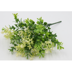 Куст мурайя метельчатая