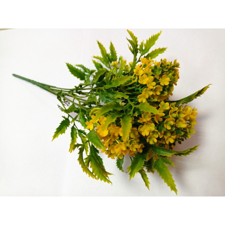 Куст кашка жёлтые цветочки