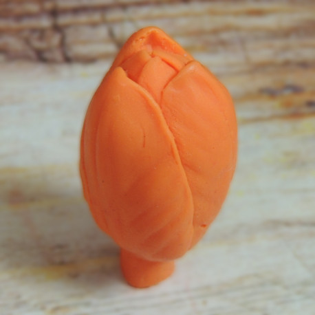 Форма 3D Бутон тюльпана